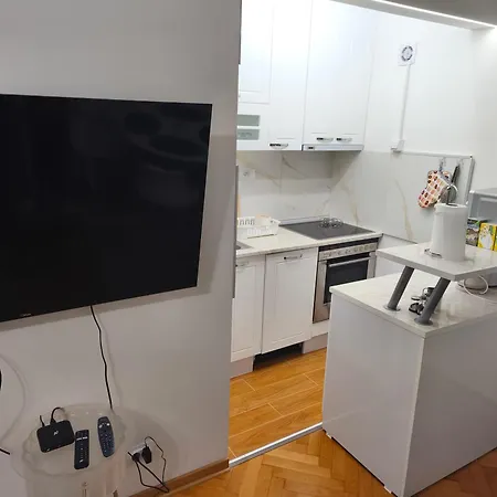 Cozy One In Centre Belgrado