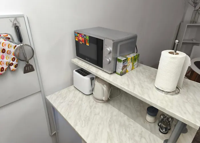 Cozy One In Centre 贝尔格莱德